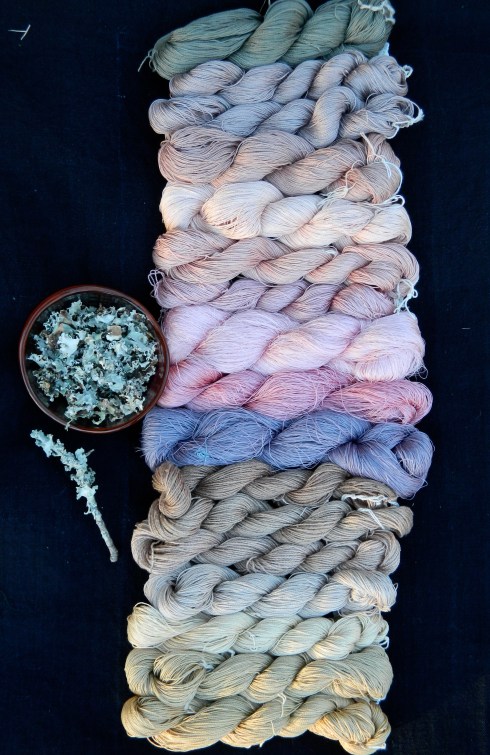 Unwhiskered ruffle lichen